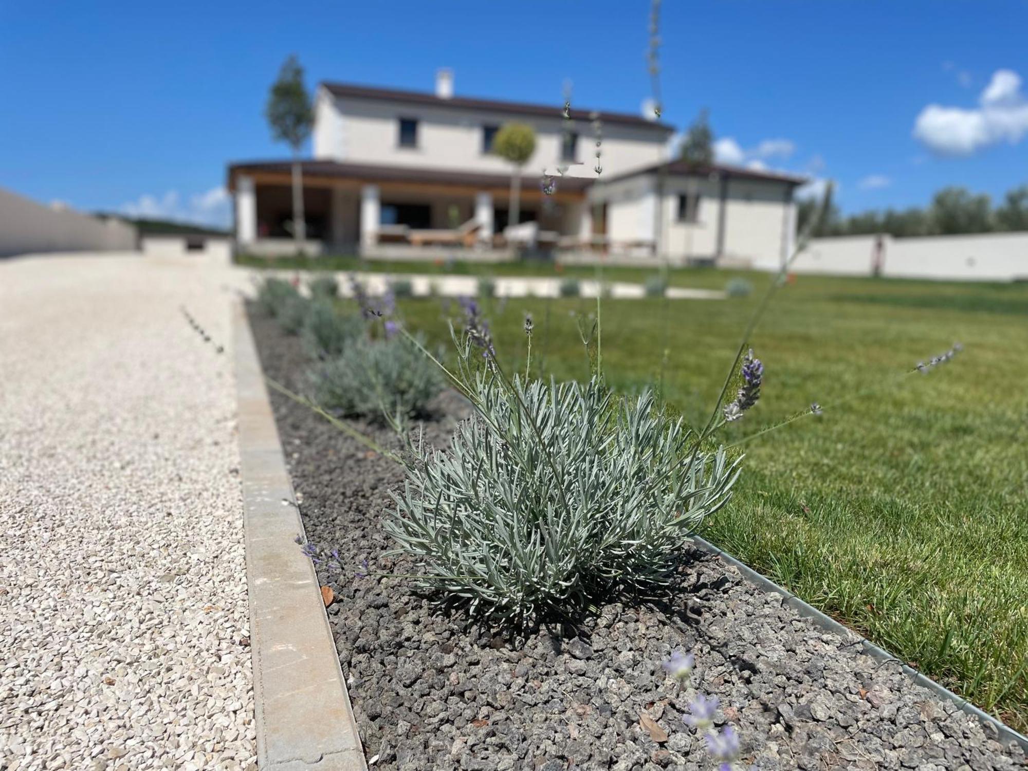 Villa Lydia Marcana Exterior photo